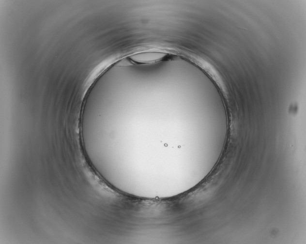 X0000091470954200709061816