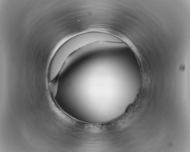 X0000091470955200709061816