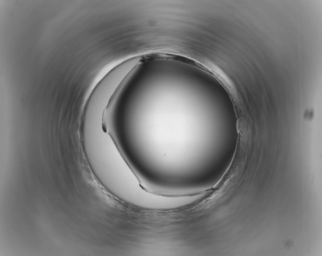 X0000091470956200709061816