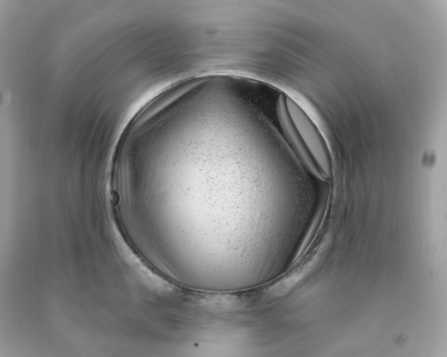 X0000091470957200709061816