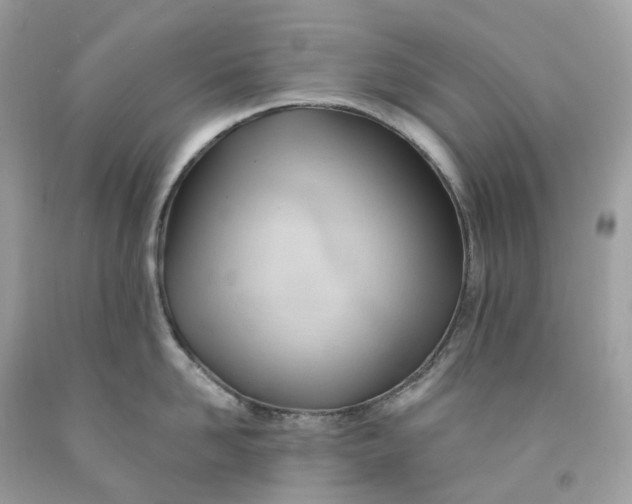 X0000091470958200709061816