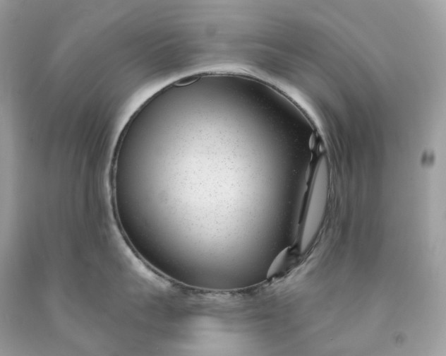 X0000091470959200709061816