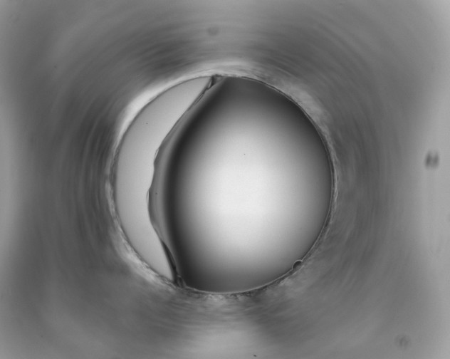 X0000091470960200709061816