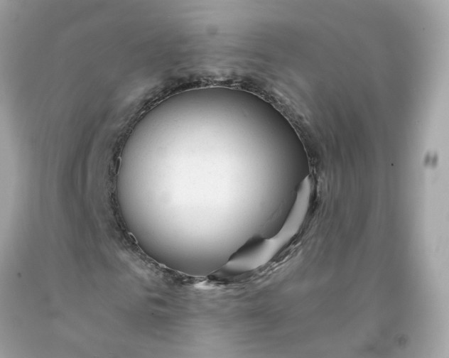 X0000091470961200709061815