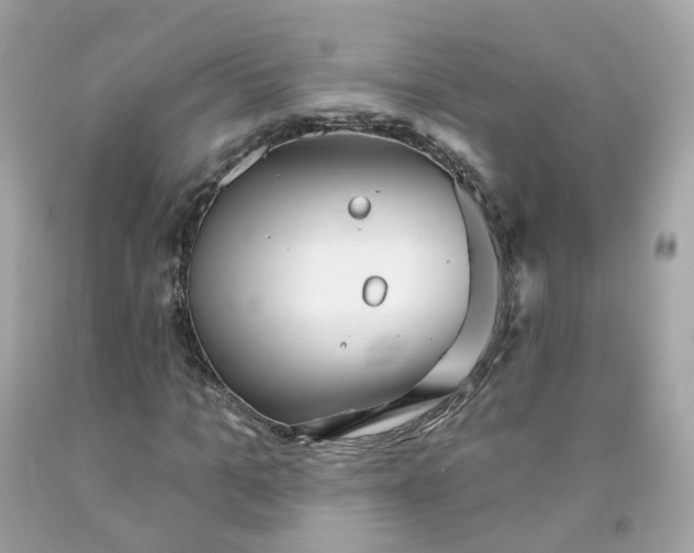 X0000091470965200709061815