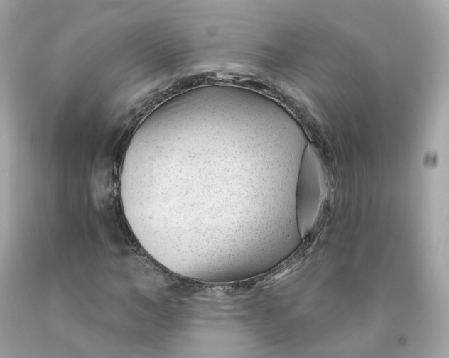 X0000091470966200709061815