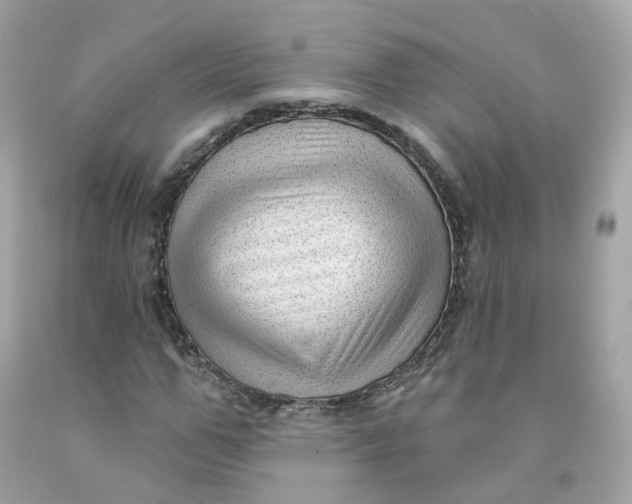 X0000091470967200709061815