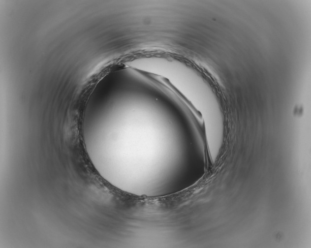 X0000091470968200709061815