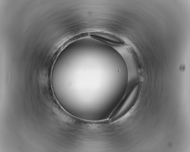 X0000091470969200709061815