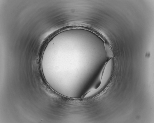 X0000091470971200709061815