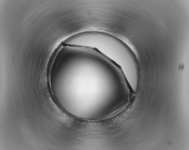 X0000091470972200709061815