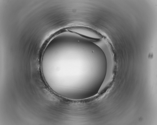 X0000091470973200709061815