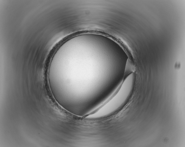 X0000091470975200709061815