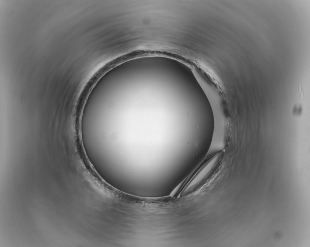 X0000091470976200709061815