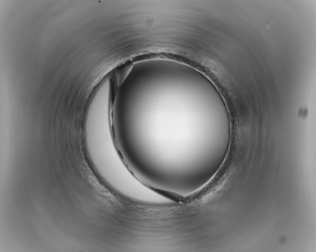 X0000091470977200709061815