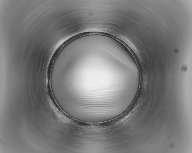 X0000091470980200709061815