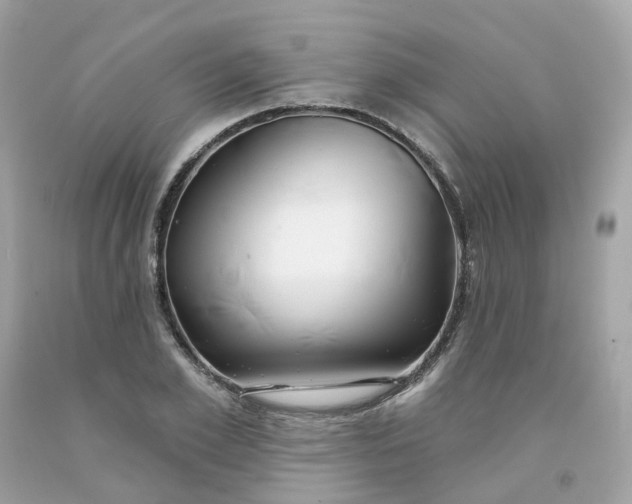 X0000091470981200709061815