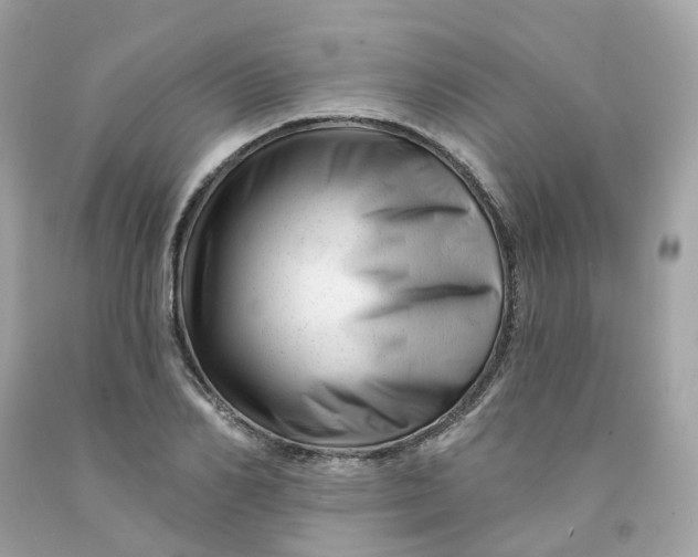 X0000091470982200709061815