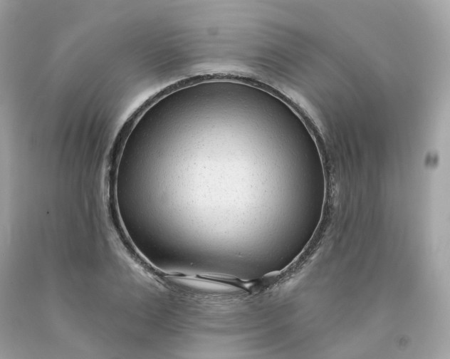 X0000091470983200709061815