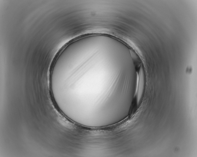 X0000091470988200709061814