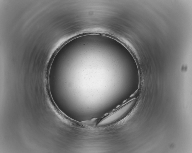 X0000091470989200709061814