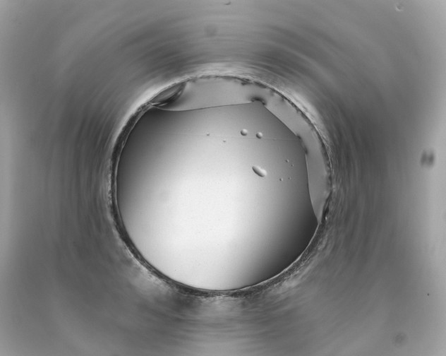 X0000091470992200709061814