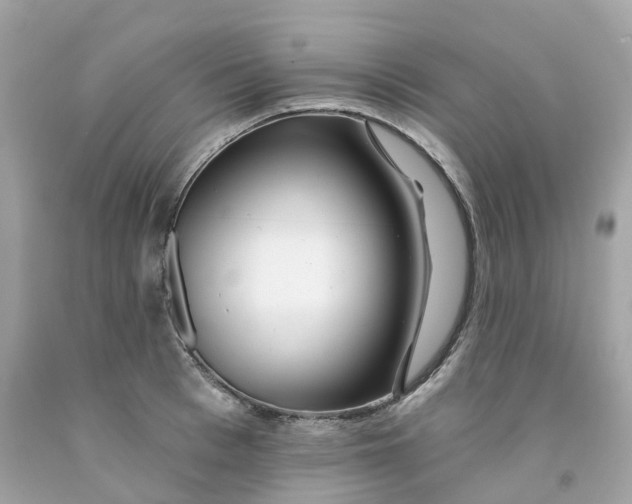 X0000091470993200709061814