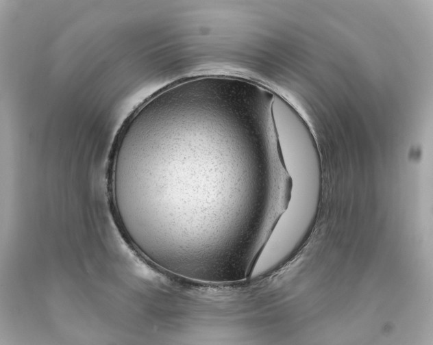 X0000091470995200709061814