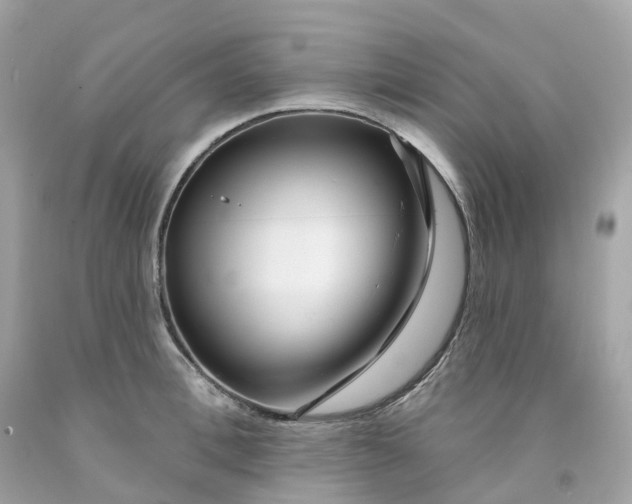 X0000091470996200709061814