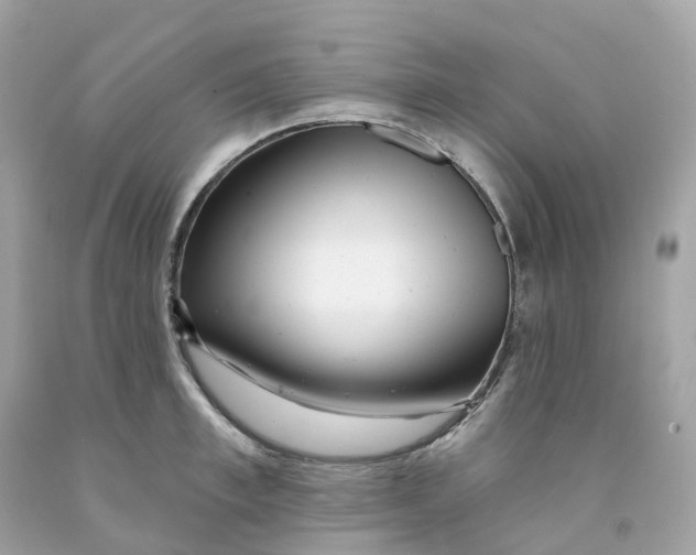 X0000091470997200709061814