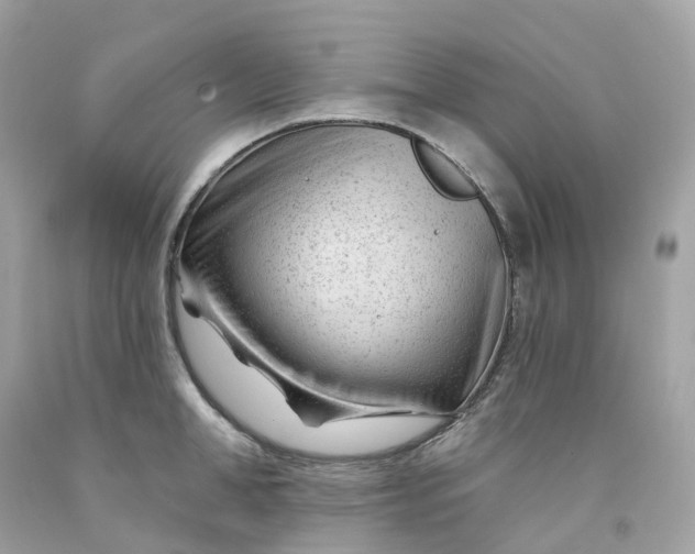 X0000091470998200709061814