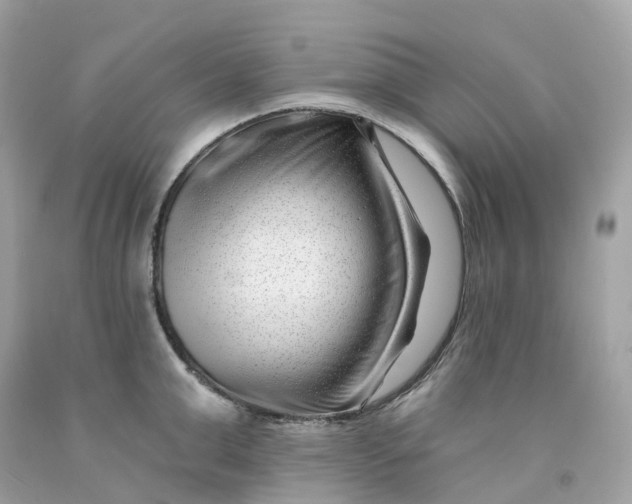 X0000091470999200709061814