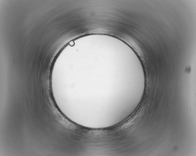 X0000091471000200709061814