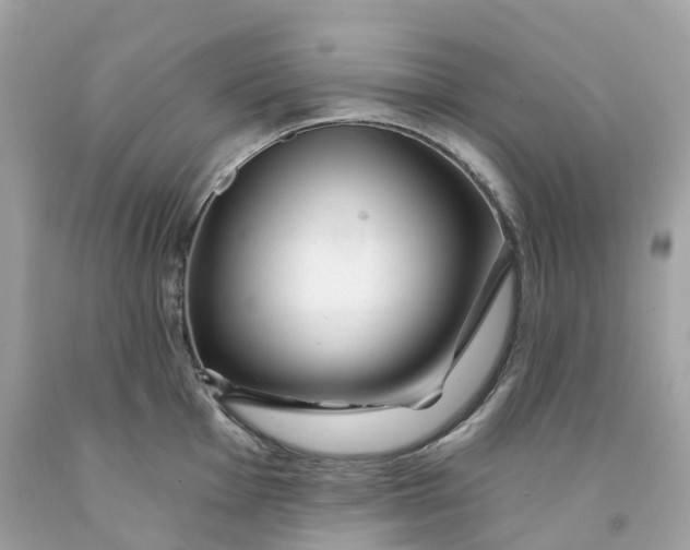 X0000091471001200709061814