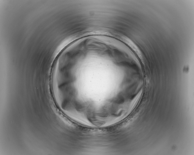 X0000091471002200709061814