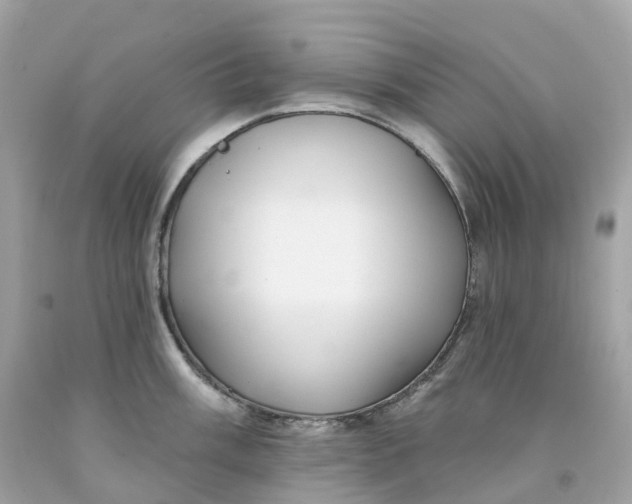 X0000091471003200709061814