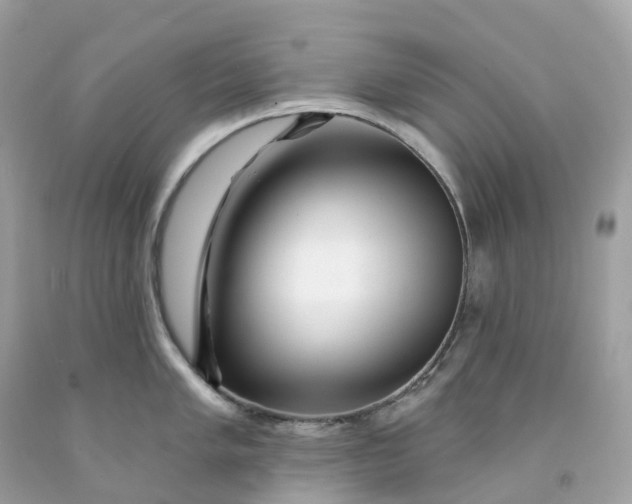 X0000091471005200709061814