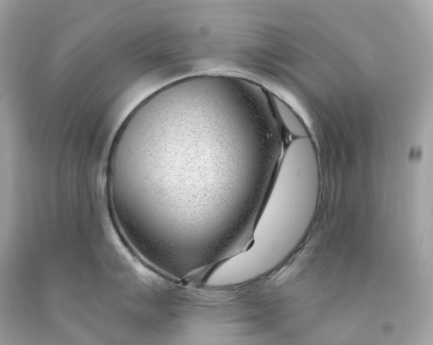 X0000091471007200709061814