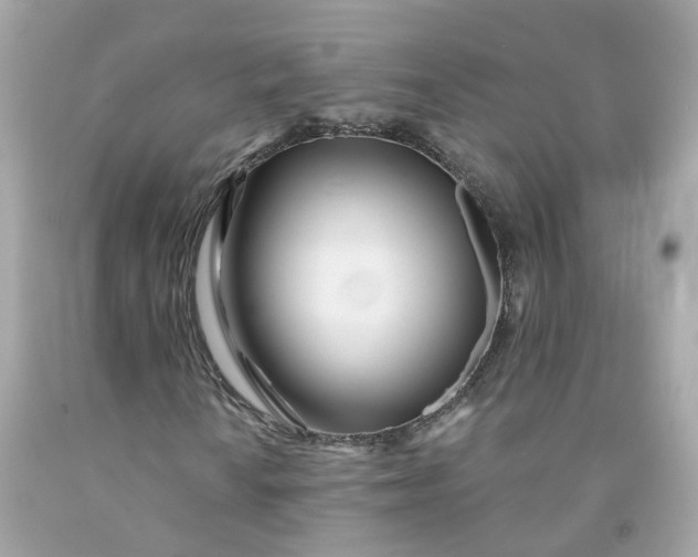 X0000091471010200709061814