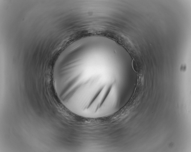 X0000091471012200709061814