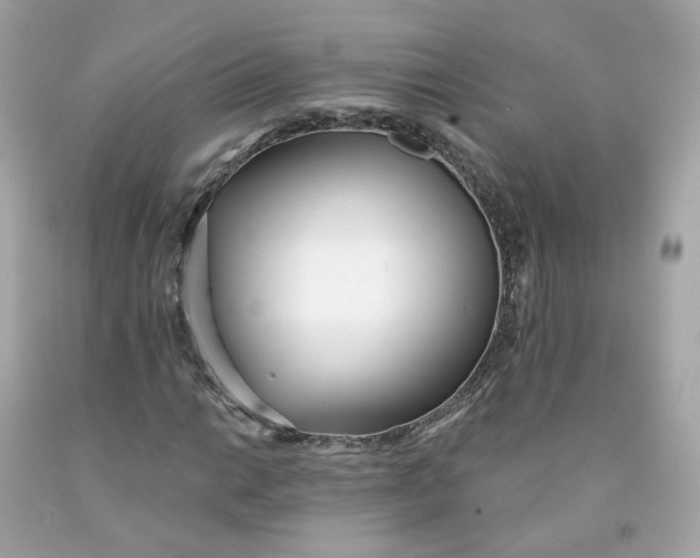 X0000091471014200709061814