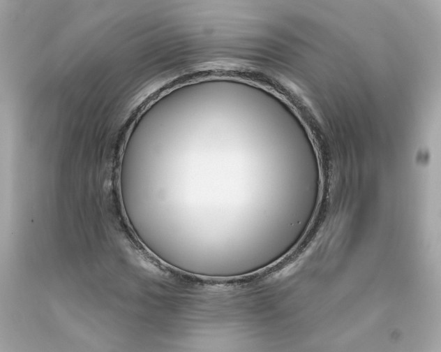 X0000091471017200709061814