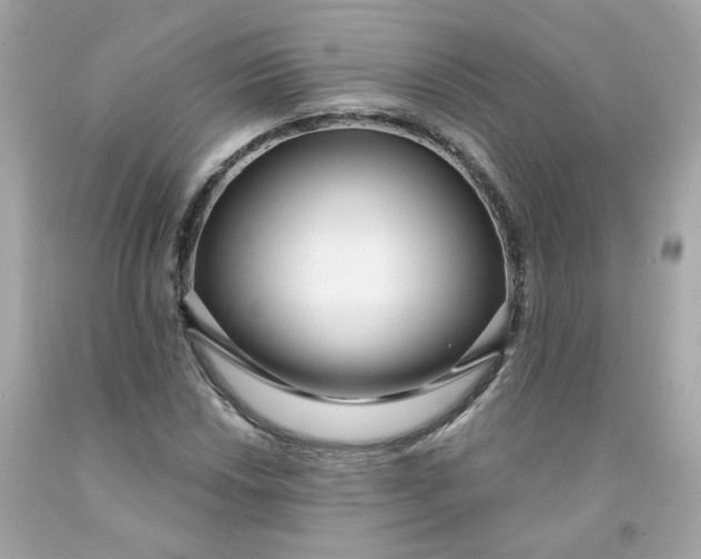 X0000091471018200709061814