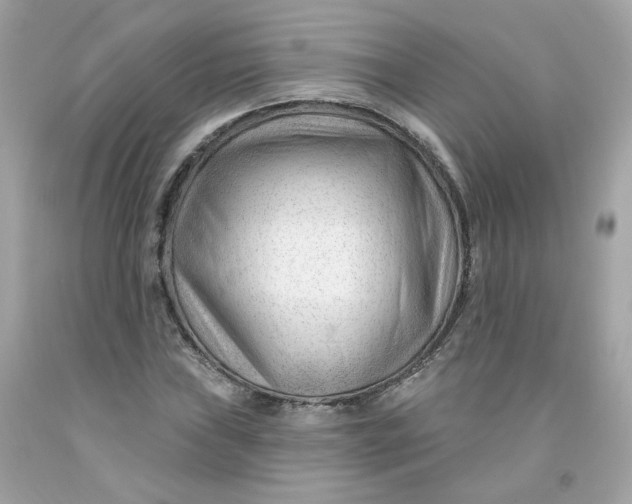 X0000091471019200709061814