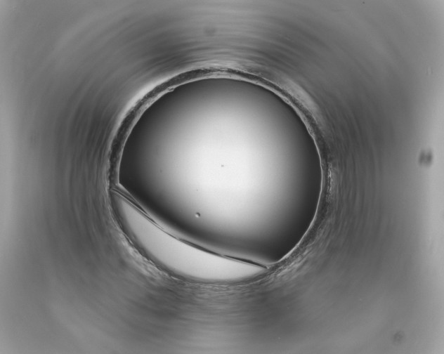 X0000091471020200709061814