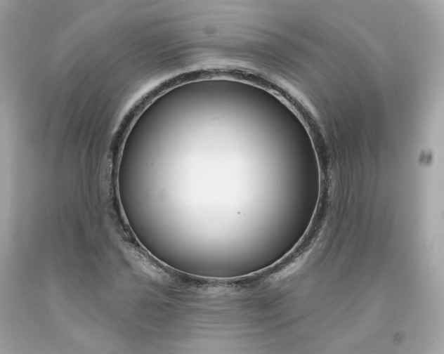 X0000091471021200709061814