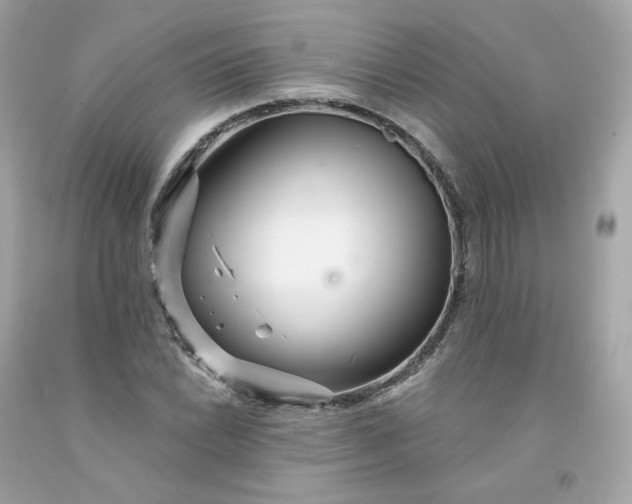 X0000091471022200709061814