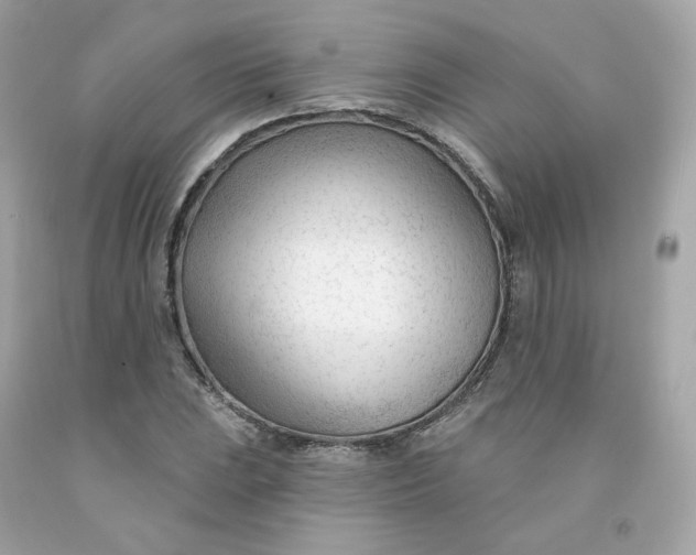 X0000091471023200709061814