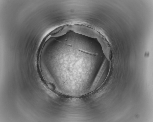 X0000091471024200709061814