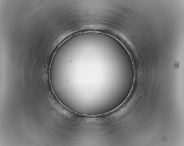 X0000091471025200709061814